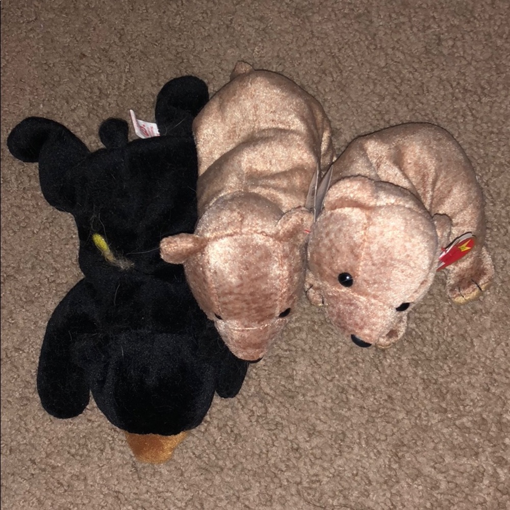 Beanie Baby Bears